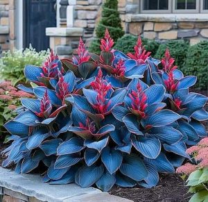 Хоста Грин Фог купить по цене от 669р. в интернет-магазине «Посадика» с доставкой почтой в в Конаковое и по всей России – [изображение №1].