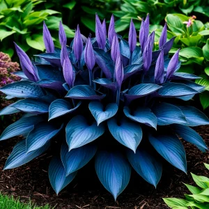 Хоста Сикрет Гров купить по цене от 570р. в интернет-магазине «Посадика» с доставкой почтой в в Конаковое и по всей России – [изображение №1].