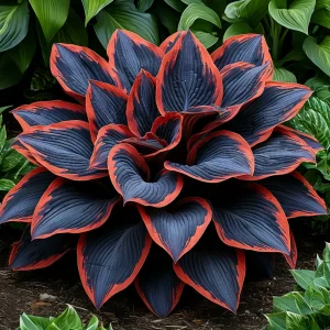 Хоста Солнечный Агат купить по цене от 440р. в интернет-магазине «Посадика» с доставкой почтой в в Конаковое и по всей России – [изображение №1].